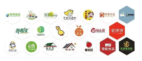 蔬东坡社区团购系统,用科技助力企业运营